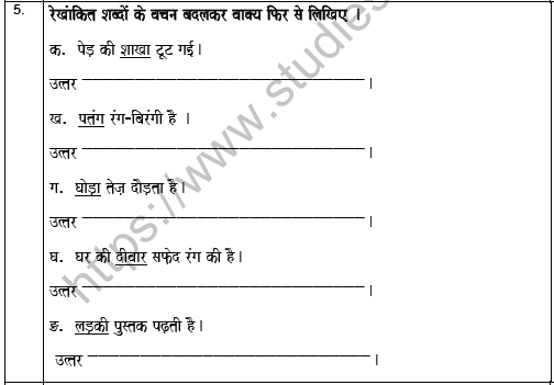 Cbse Class 5 Hindi Worksheet Set G Solved